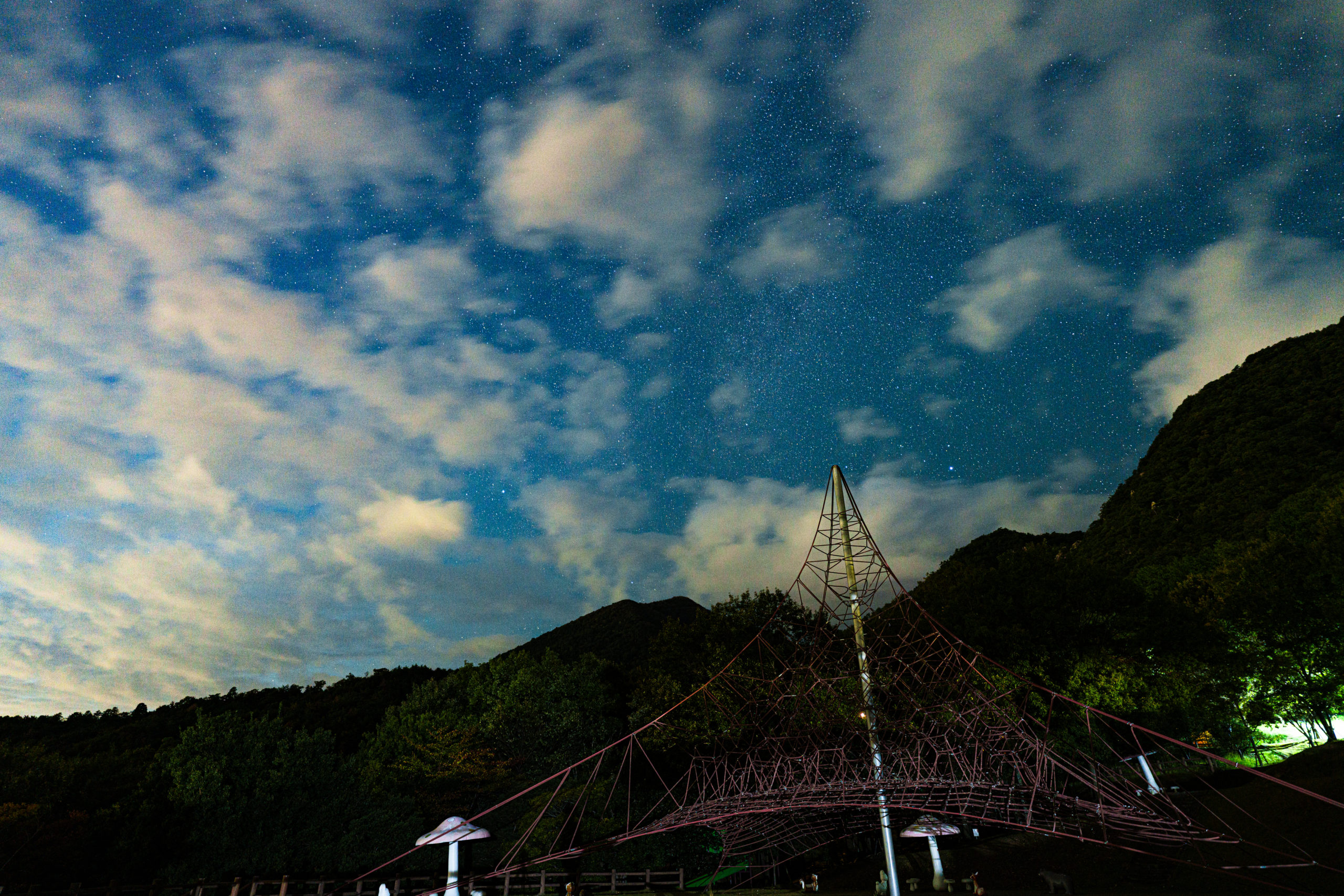 DSC01184